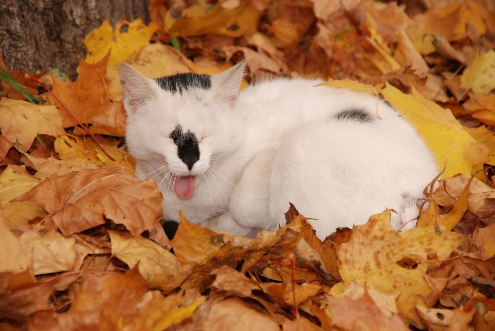 Photograph by Юрий Яковлев