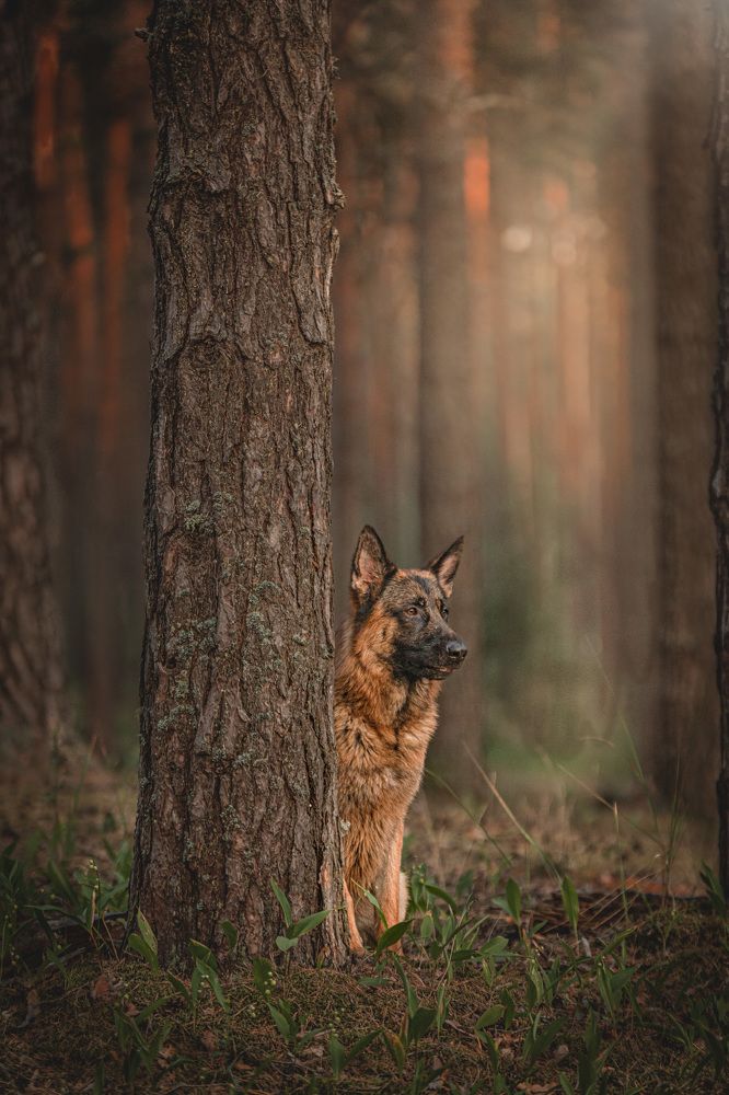 Photograph by Милана Бабченко
