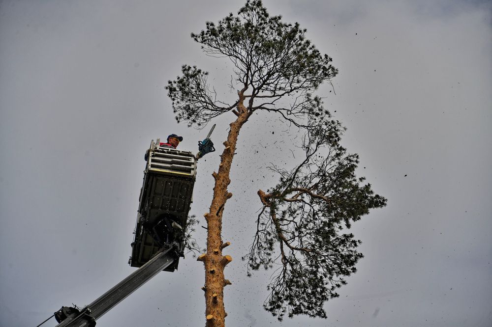 Photograph by Иван Макеев