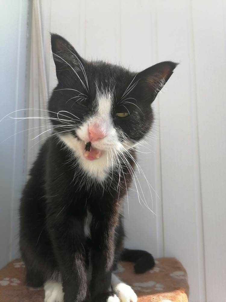 Photograph by Ирина Забродина