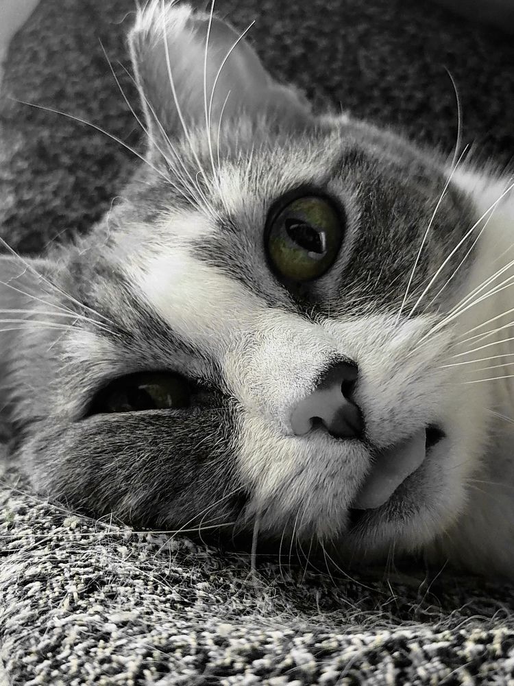 Photograph by Ирина Забродина