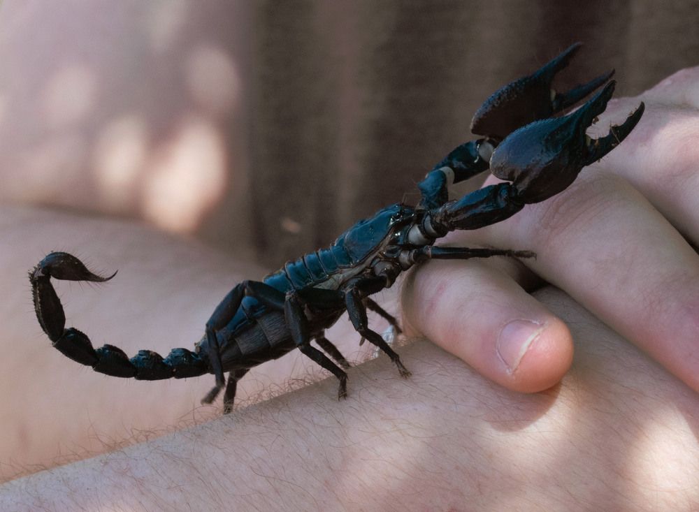 Photograph by Наталья Зверева