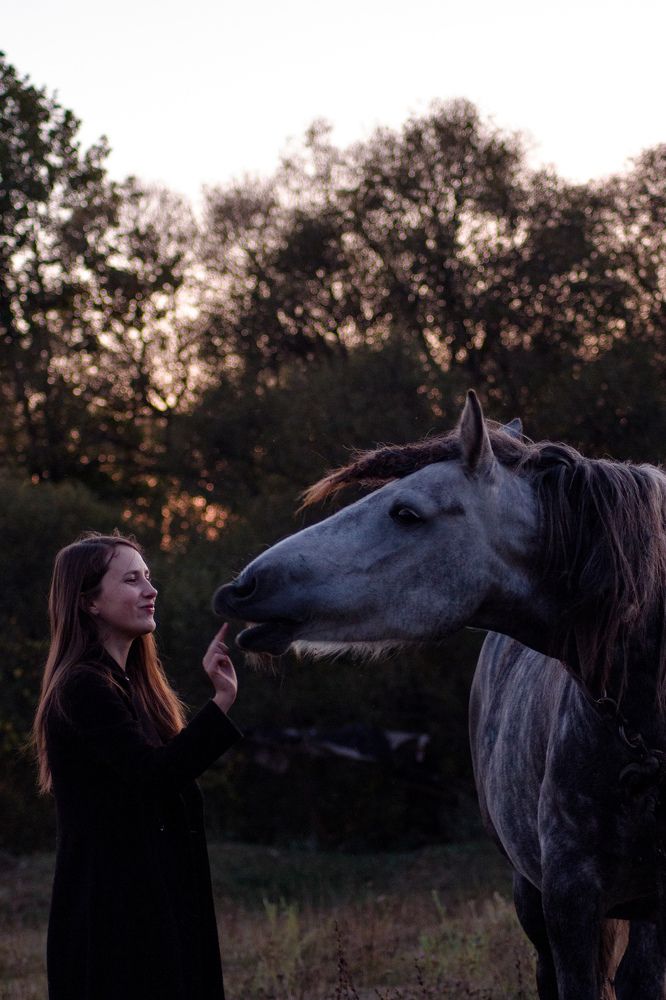 Фотография автора Софья Алексеева