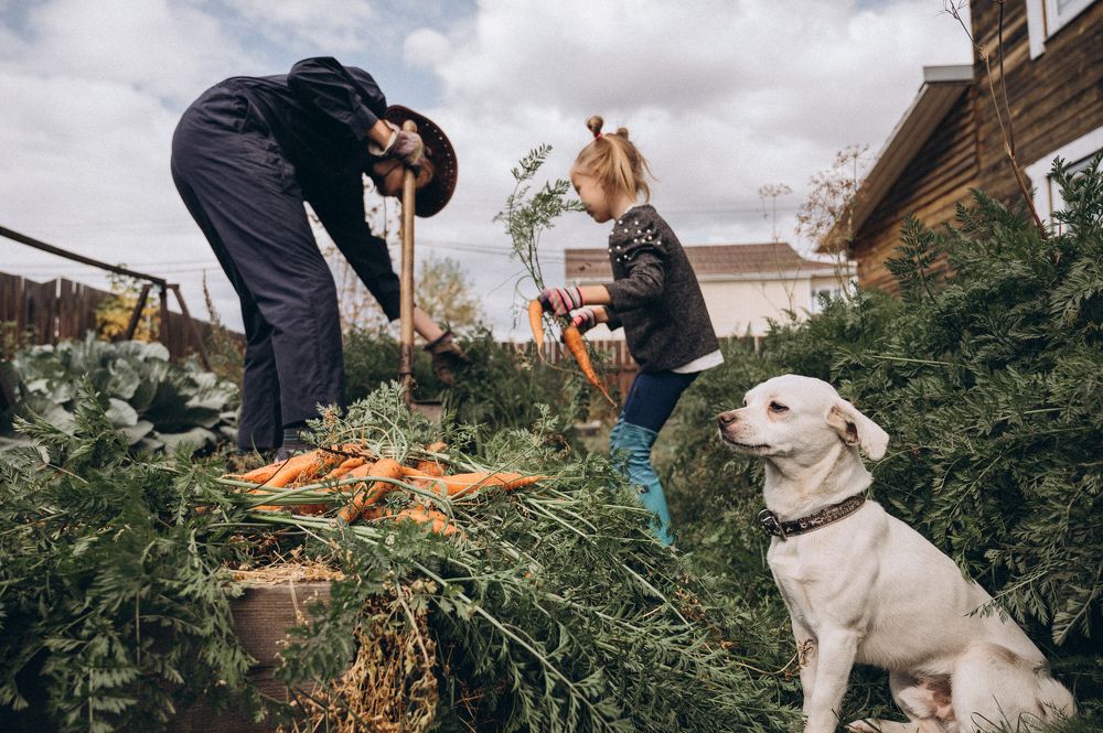 Photograph by Фёдорова Анастасия