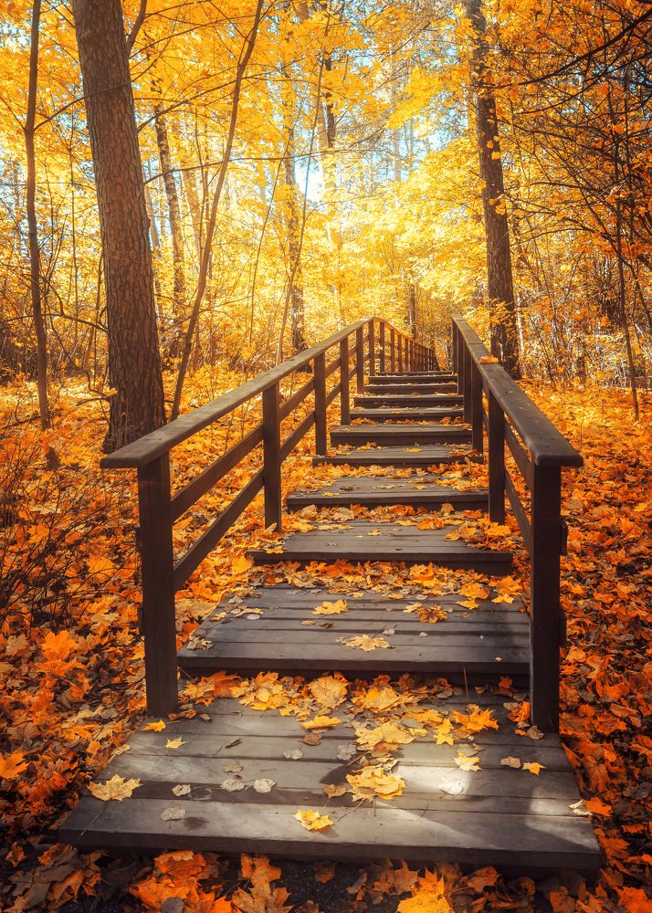 Photograph by Victor Stepanov