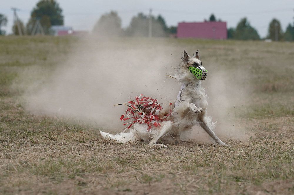 Фотография автора Iurii Butakov