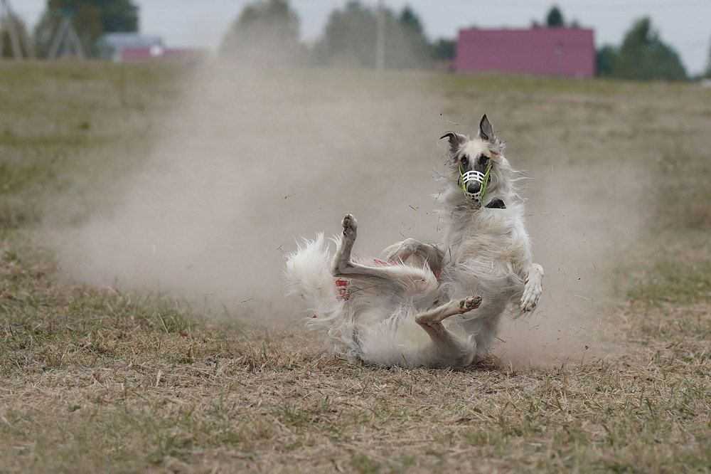 Photograph by Iurii Butakov