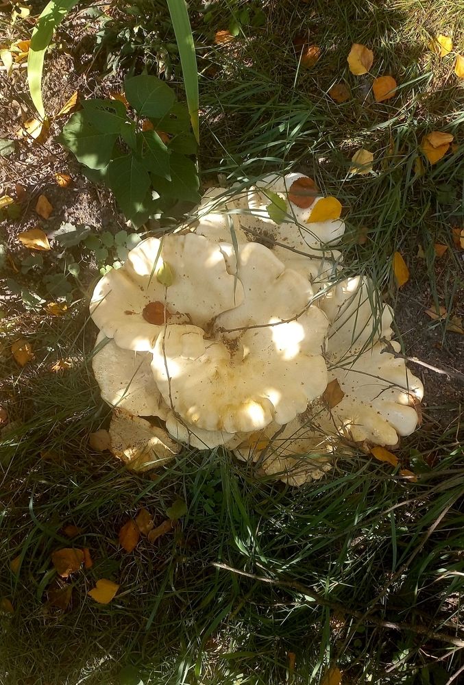 Photograph by Ольга Каковкина
