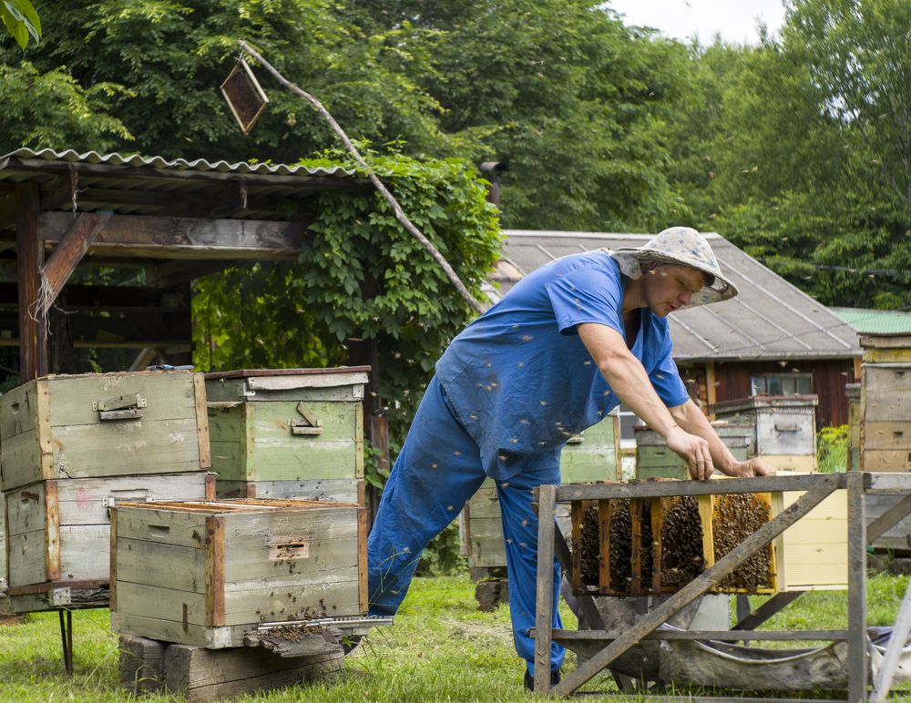 Photograph by Сергей Галёса