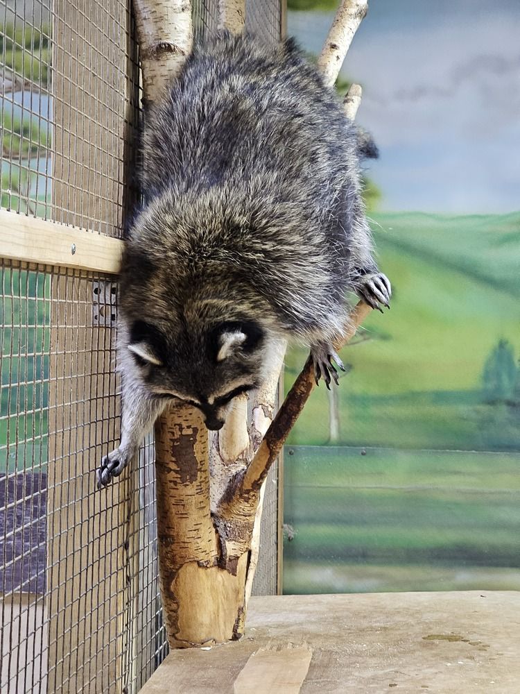 Photograph by Елена Ямнюк