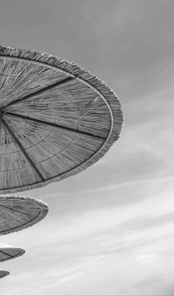 Photograph by Viktorova