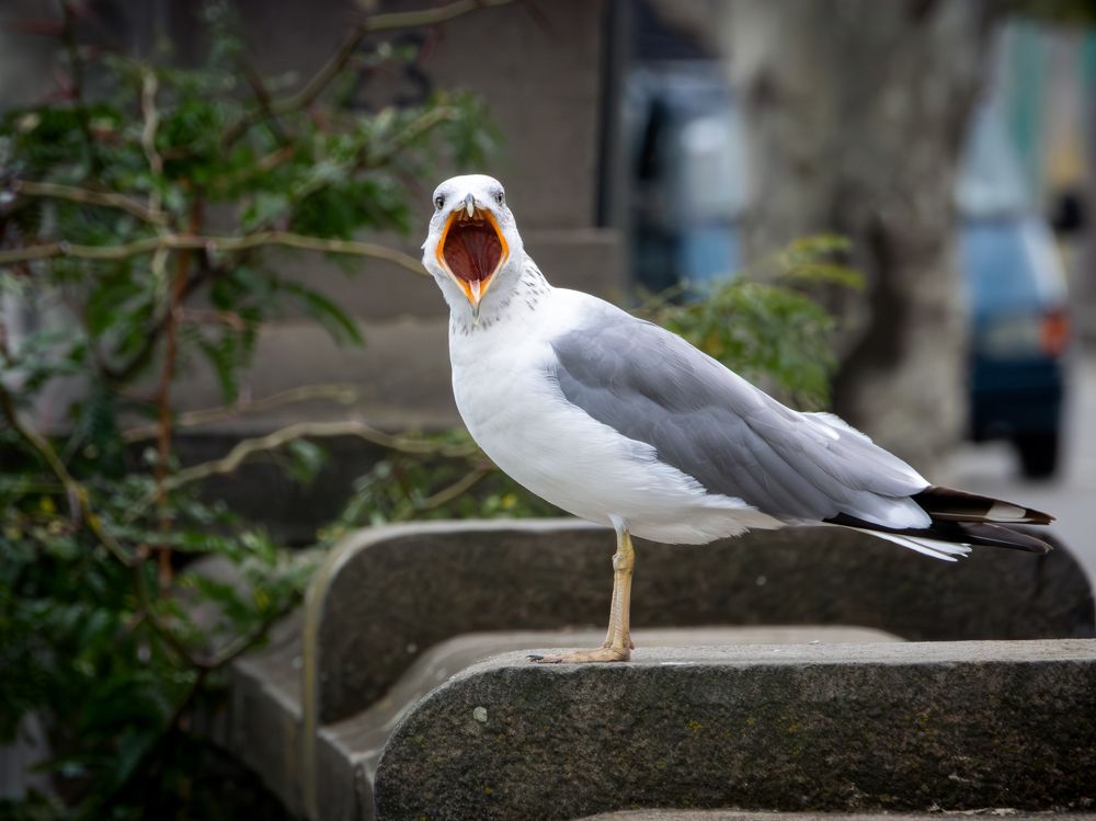 Photograph by Genadi Yakovlev