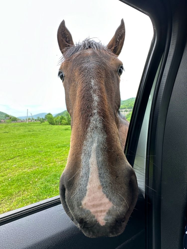 Photograph by Мария Алейникова