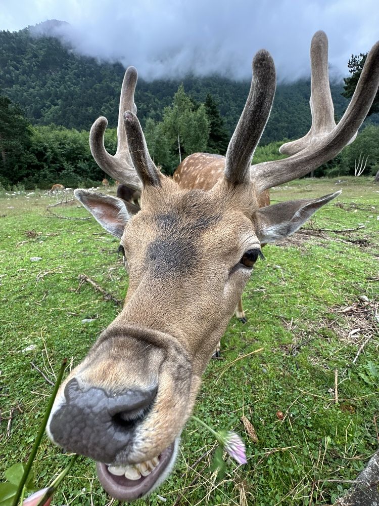 Photograph by Мария Алейникова