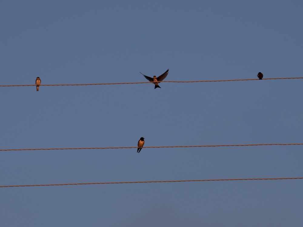 Photograph by Анна Новосельцева