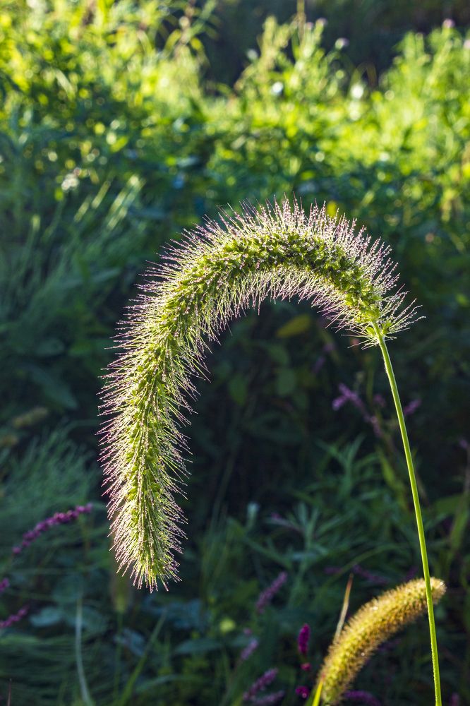 Photograph by Sergey Tsubanov