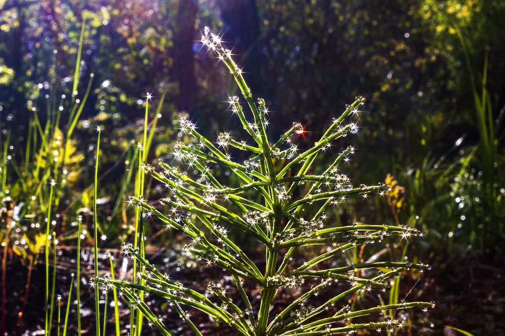 Photograph by Sergey Tsubanov