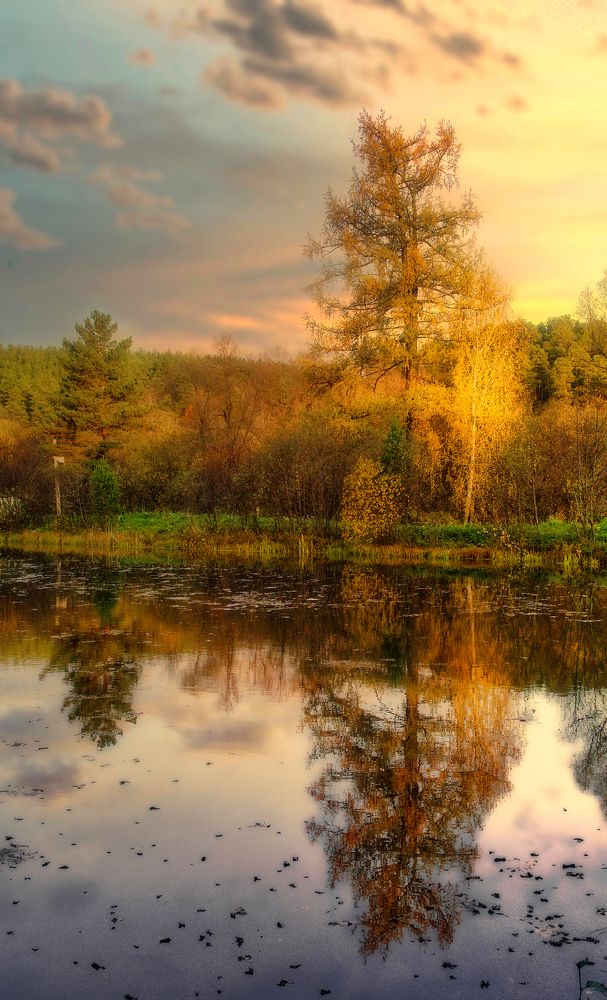 Photograph by Стас Неклюдов