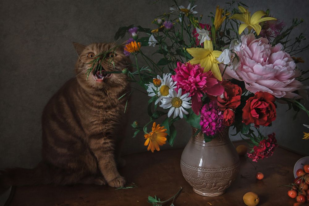 Фотография автора Анна Петина