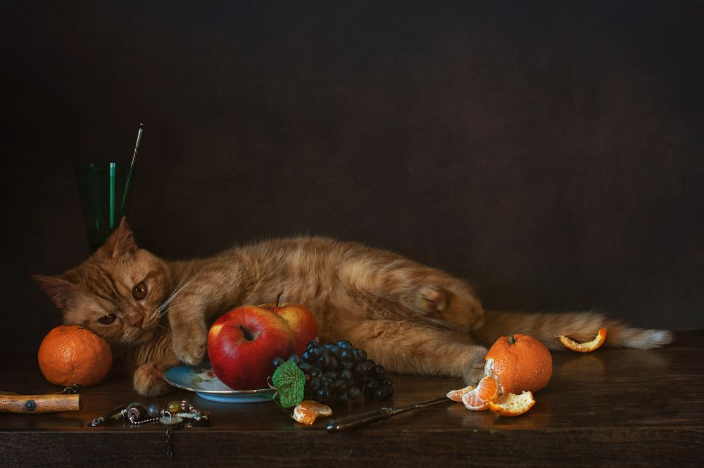 Фотография автора Анна Петина