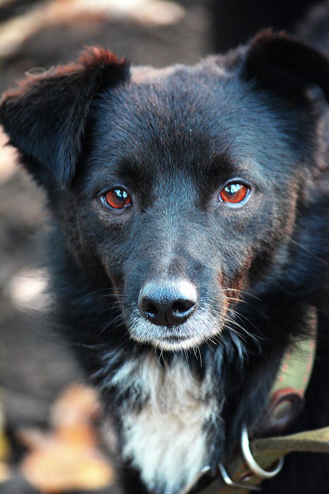 Photograph by Марина Канавченко