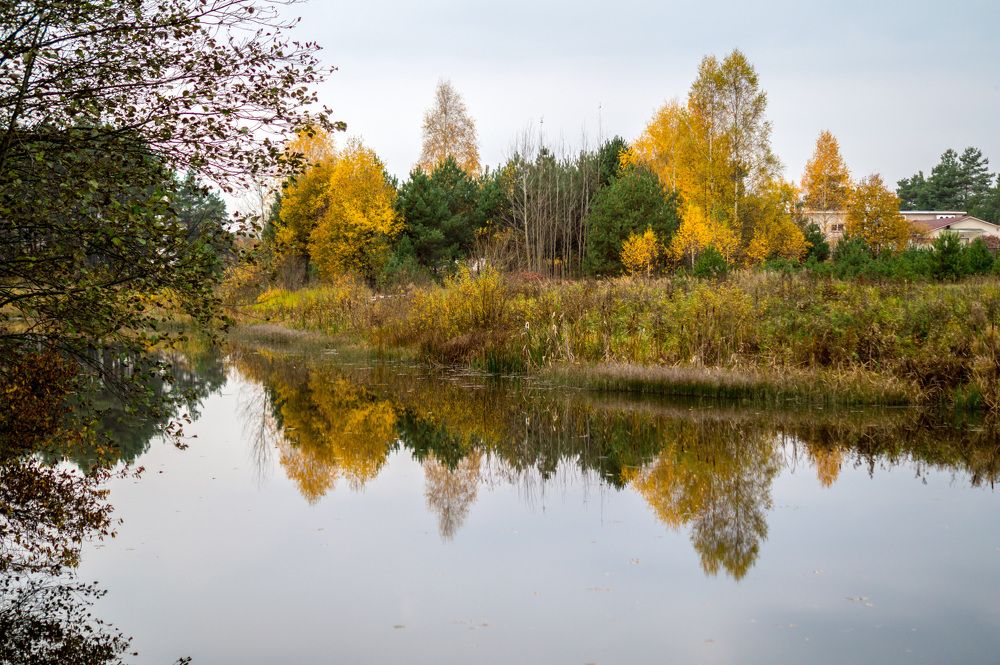 Photograph by Aleksandras Meisutovicius