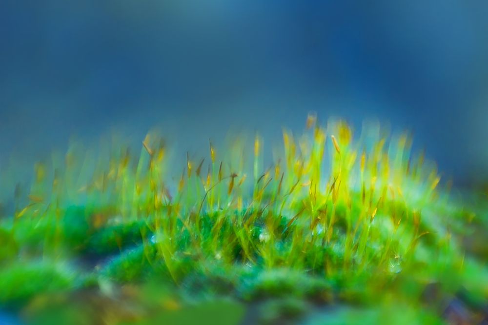 Photograph by Николай Осипенко