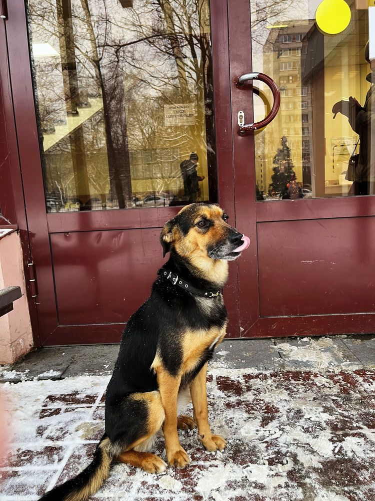 Скоро обед...кушать хочется...!