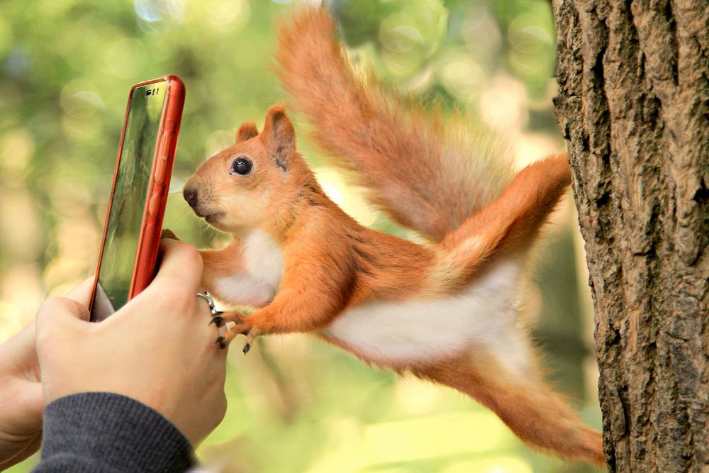 Photograph by Шруб (Беляева) Татьяна