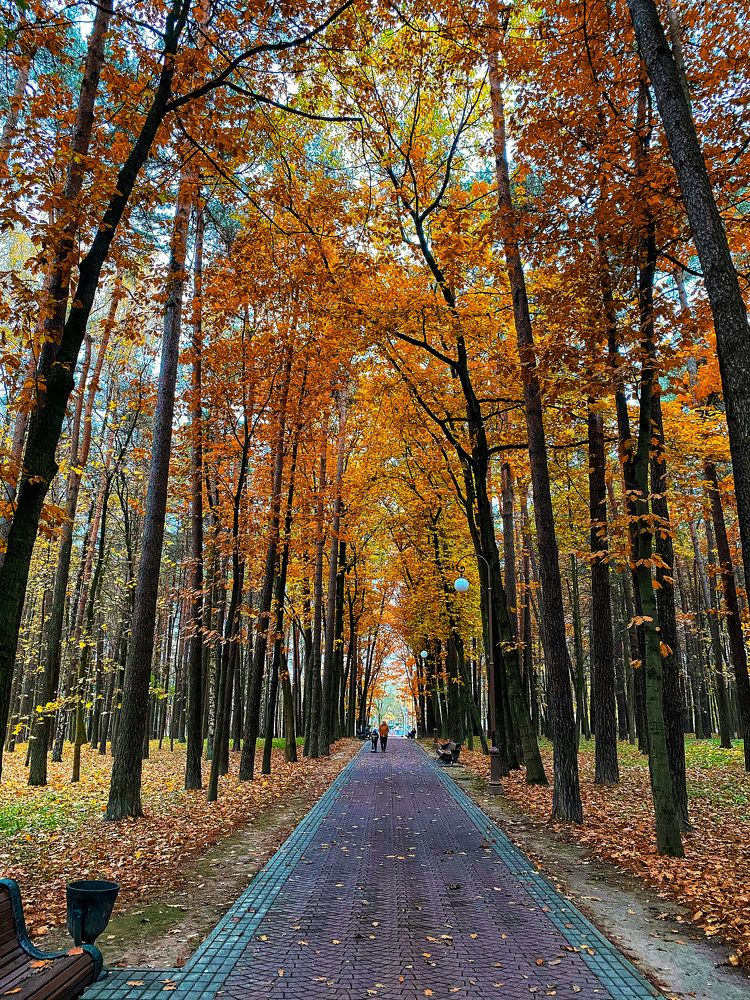 Photograph by Alexey Nuzha