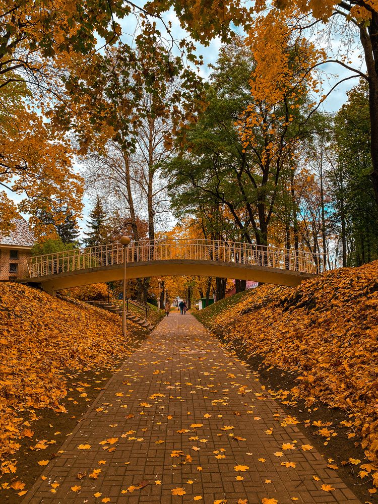 Photograph by Alexey Nuzha