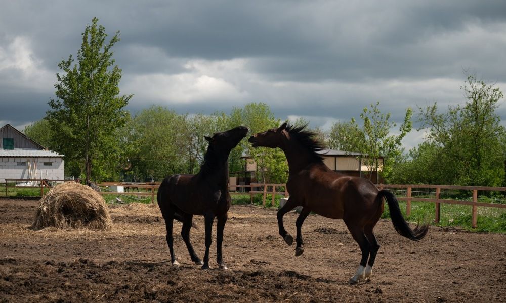 Photograph by Анна Новосельцева