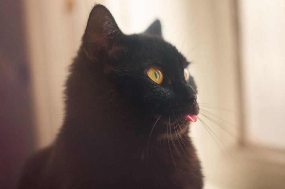 Photograph by Артём Шестаков