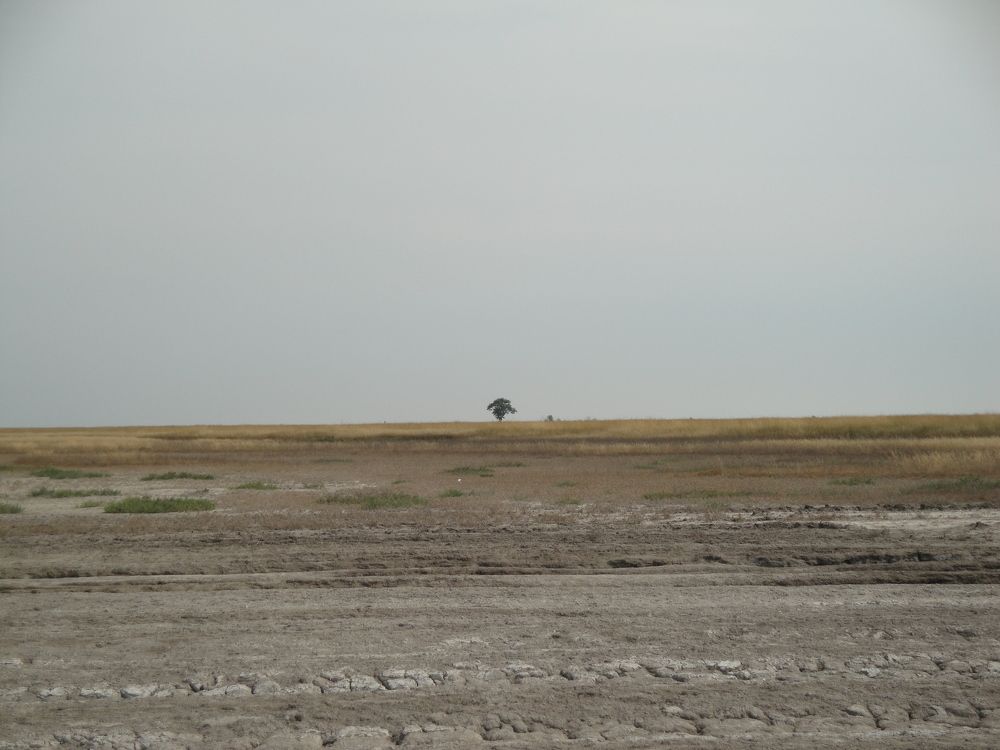 Photograph by Александр Семенов