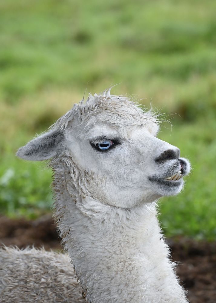 Photograph by Анна Новосельцева