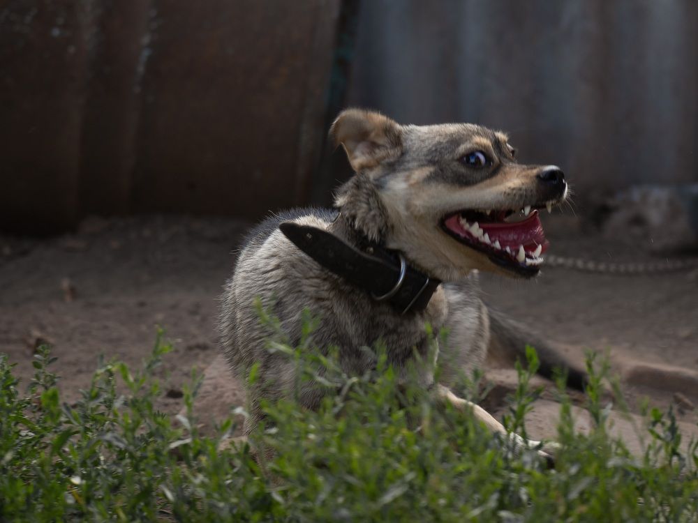 Photograph by Анна Новосельцева