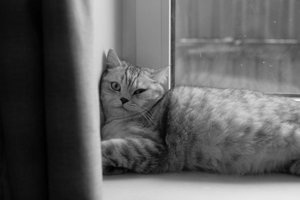 Photograph by Анна Новосельцева