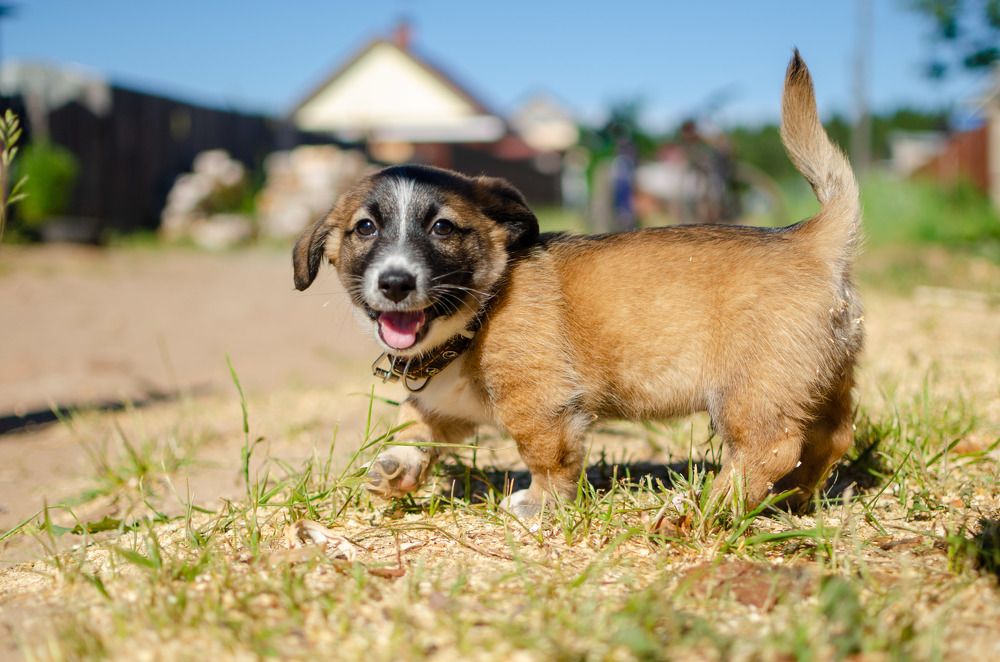 Photograph by Артём Шестаков