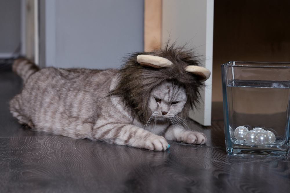 Photograph by Анна Новосельцева