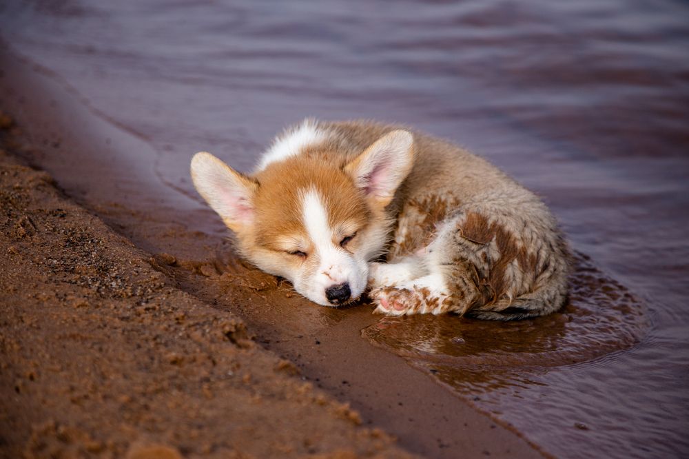 Photograph by Станислава Гордеева