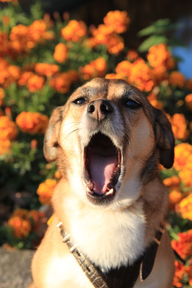 Photograph by Валерия Гуртовая