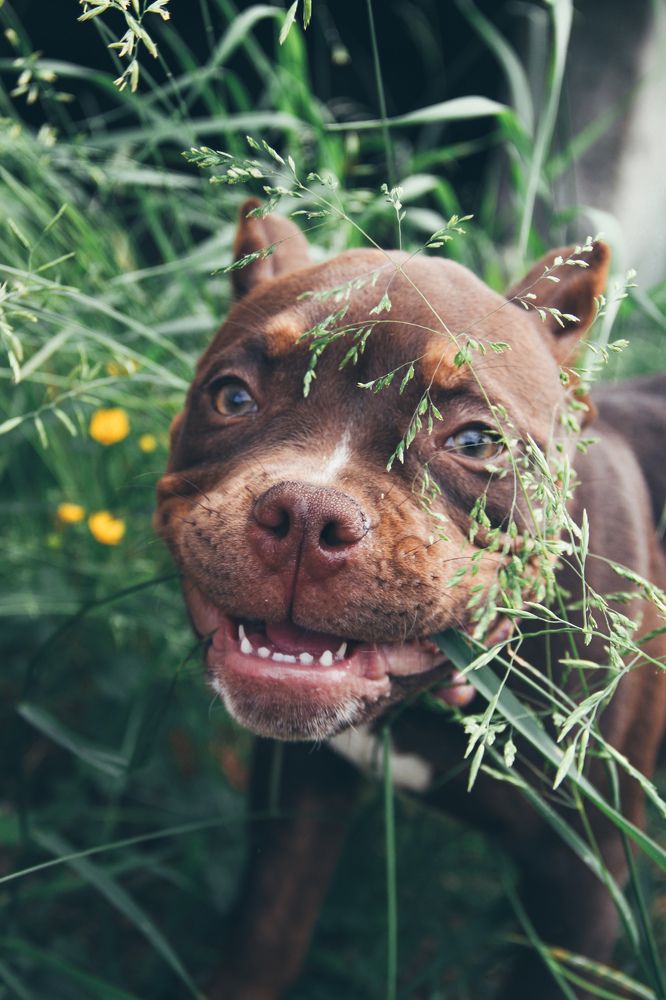 Photograph by Валерия Гуртовая