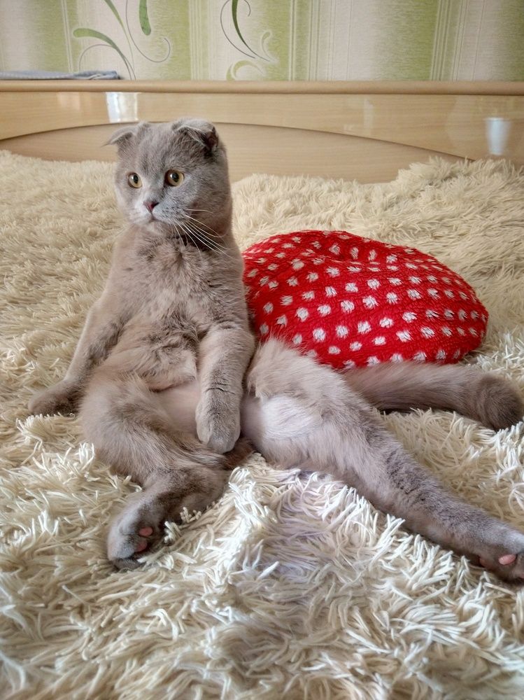 Размышления о насущном.