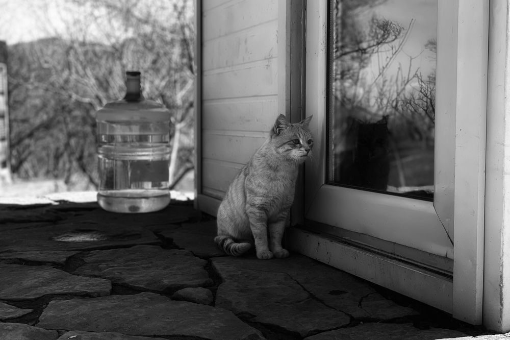 Photograph by Askar Kashapov