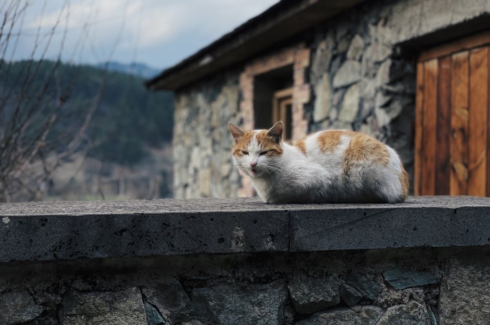 Photograph by Askar Kashapov