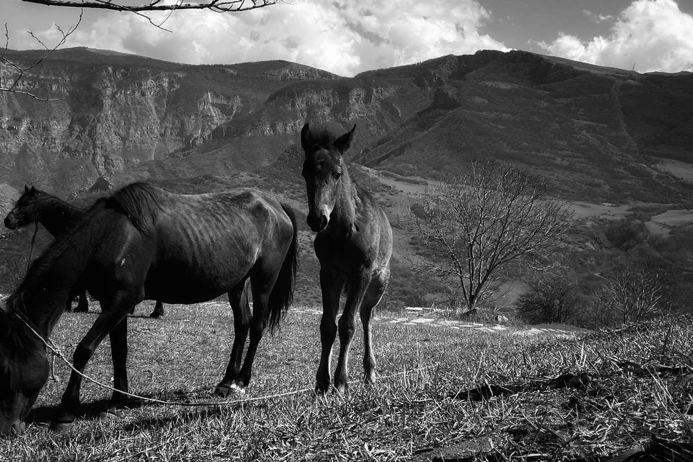 Photograph by Askar Kashapov