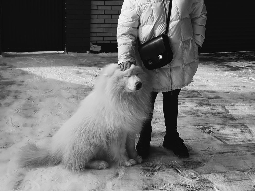 Photograph by Askar Kashapov