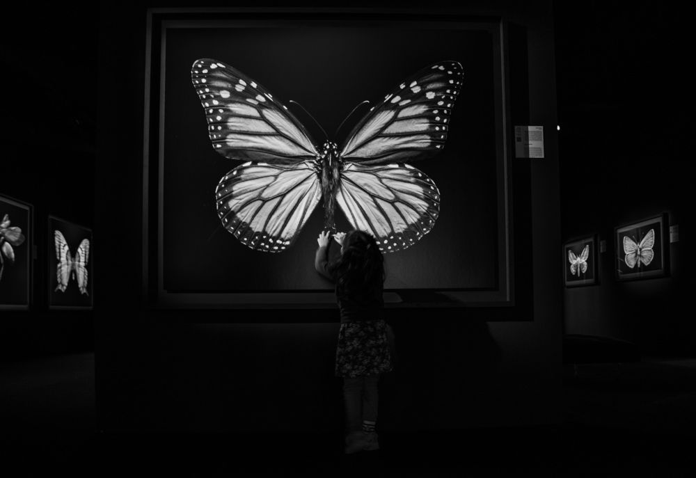 Фотография автора Syeda Fahamida