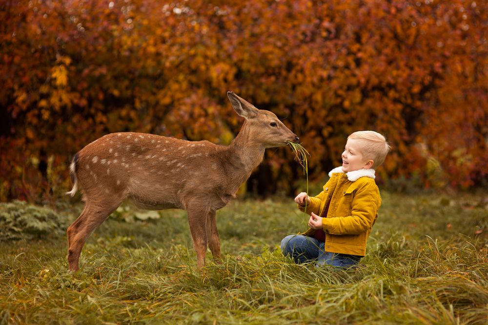 Photograph by Алена Федосова
