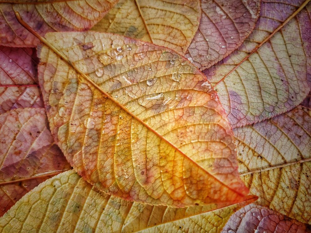 Photograph by Татьяна Сычева